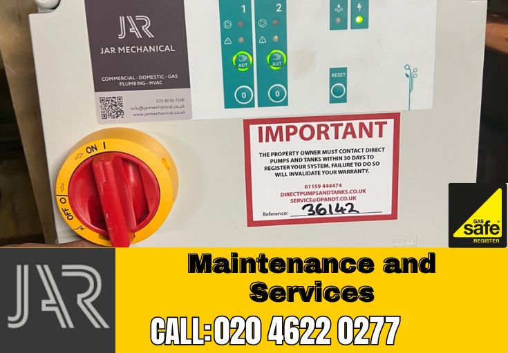 Domestic Maintenance and Services Manor Park